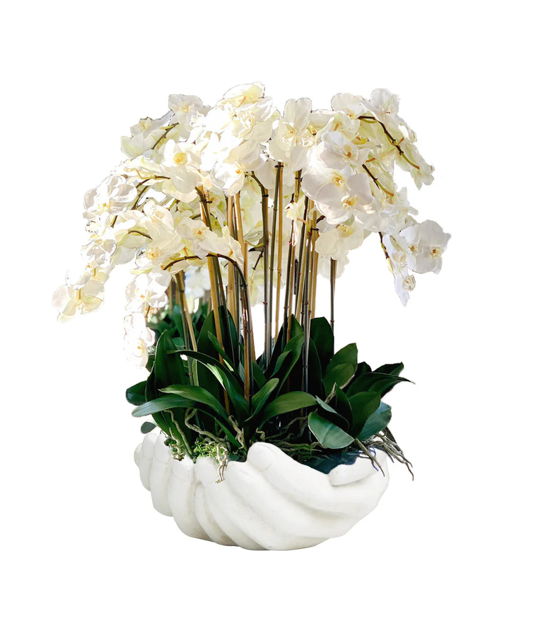 White Phalaenopsis Orchids in White Open Hands Sculpture Vase