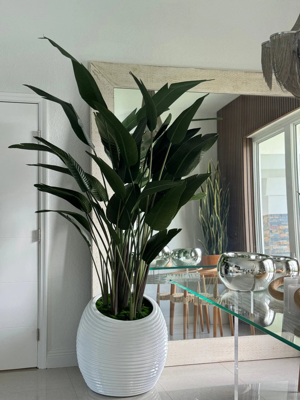 Bird of Paradise in White Spiral Planter