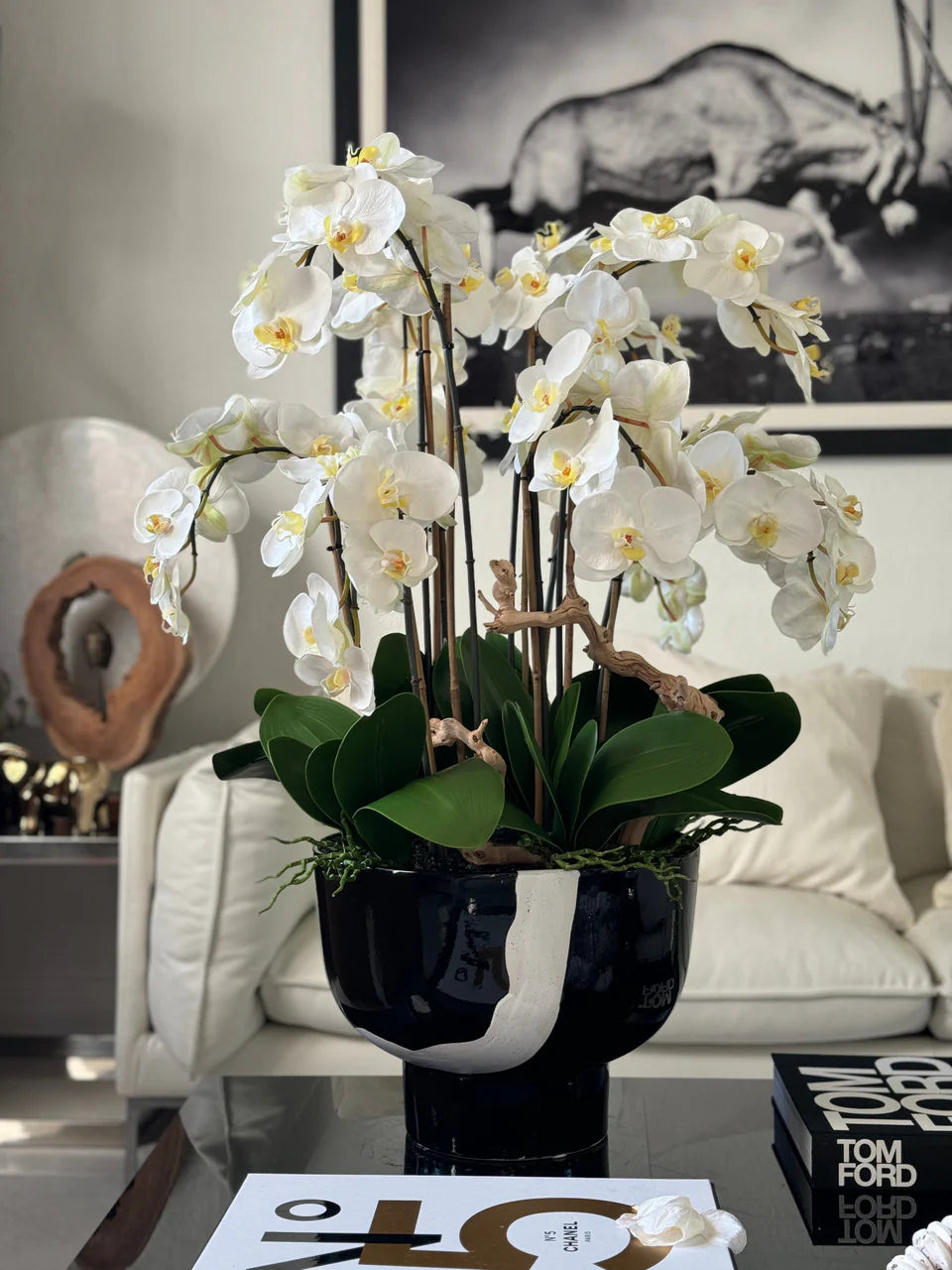 White Orchids in Kempff Bowl